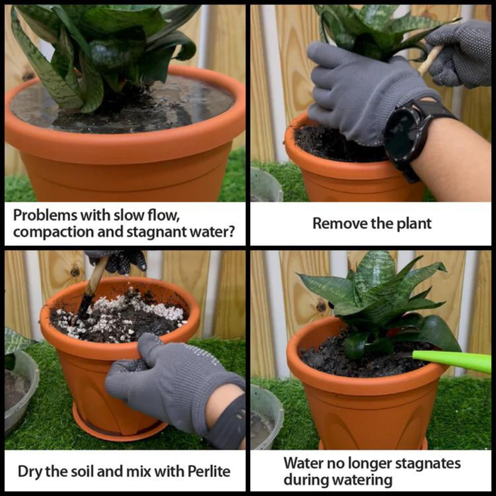 Step-by-step process of repotting a plant with text instructions on improving soil conditions.