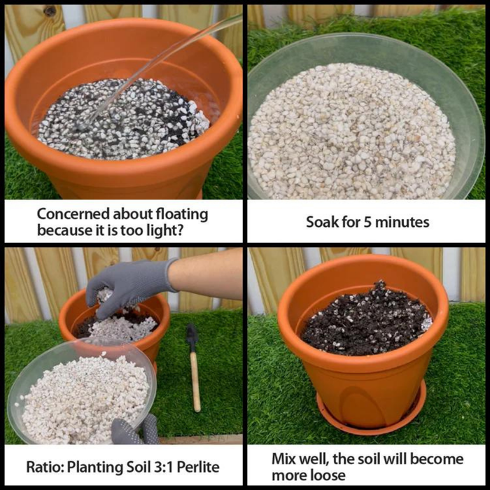 Step-by-step guide on mixing planting soil with perlite in a pot.