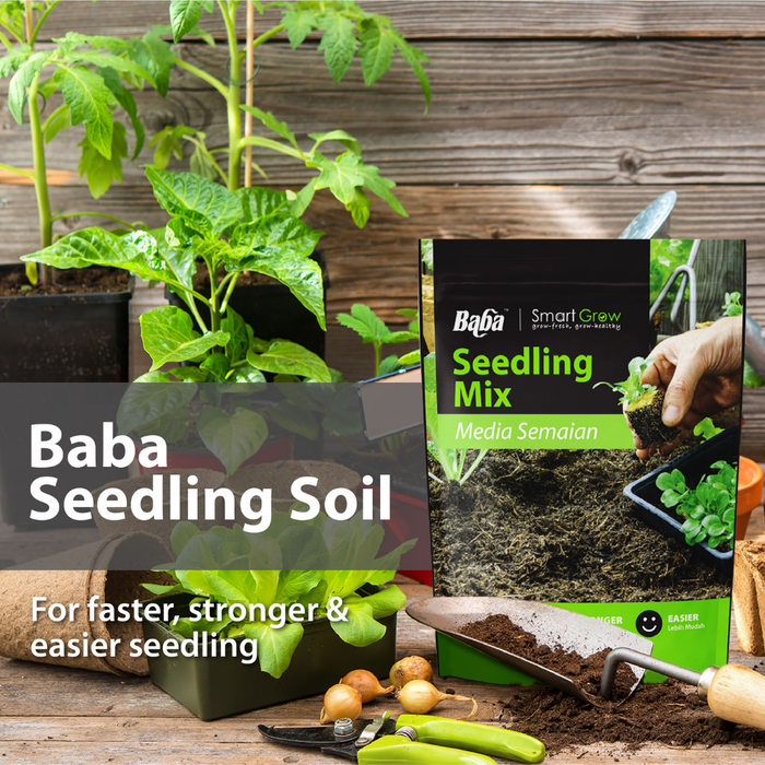Baba Seedling Soil packaging with seedling plants and gardening tools on a wooden background