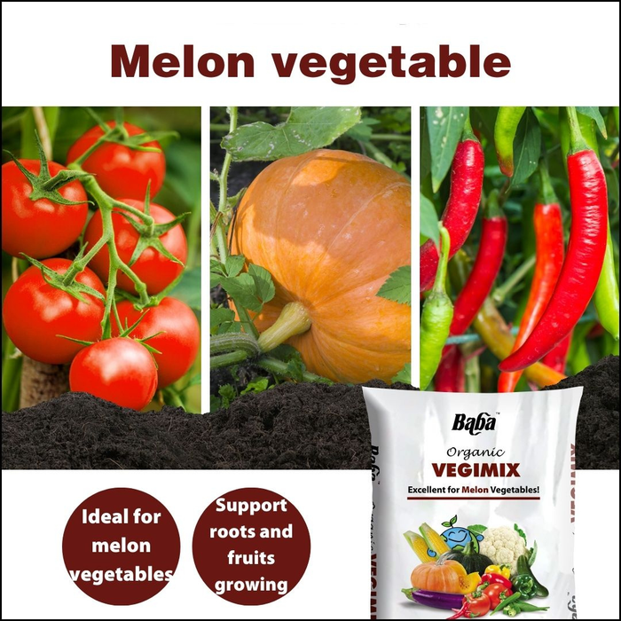 Baba Organic Vegimix