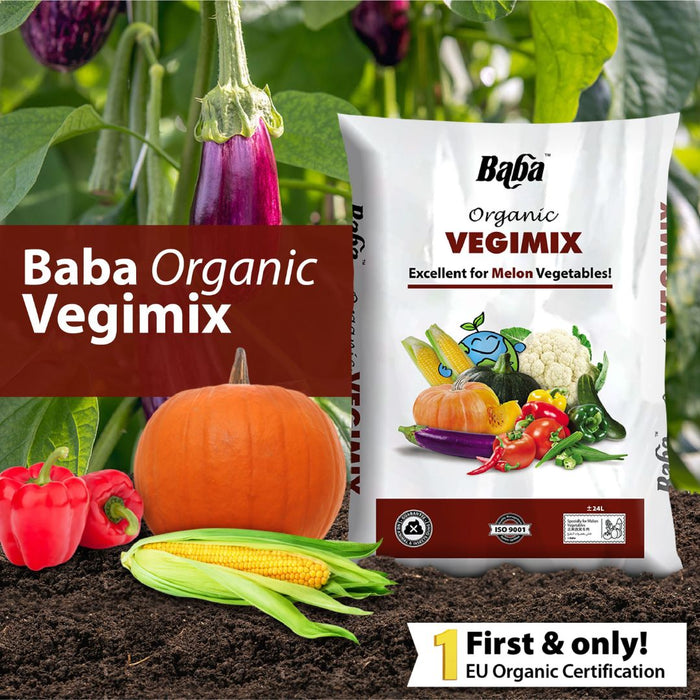 Baba Organic Vegimix