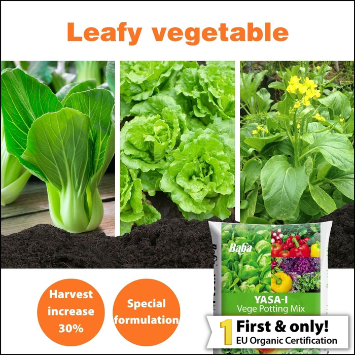 Baba Yasa-i Vege Soil