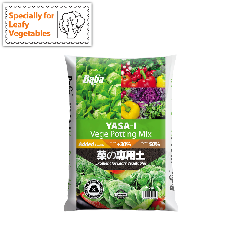 Baba Yasa-i Vege Soil