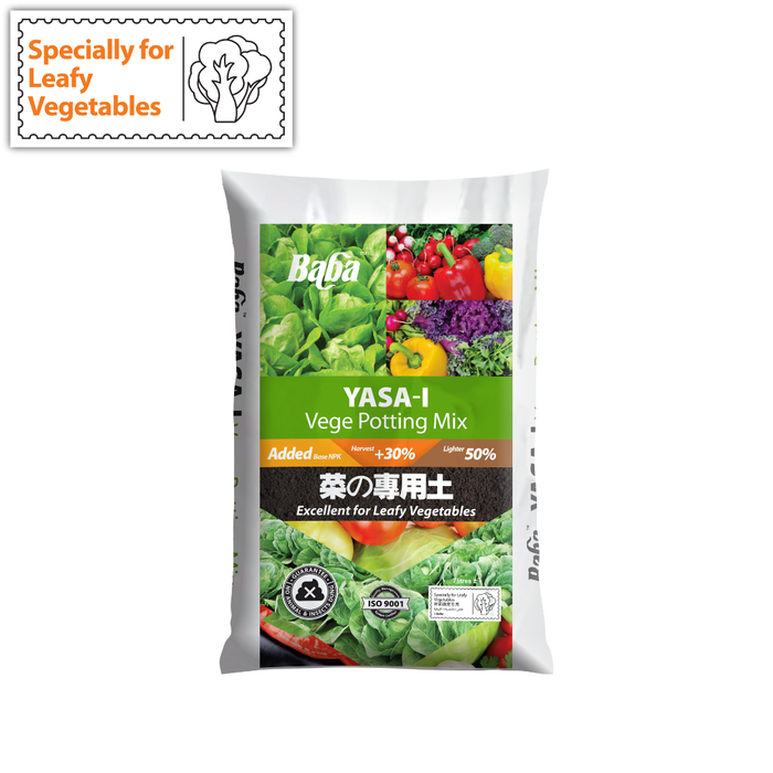 Baba Yasa-i Vege Soil