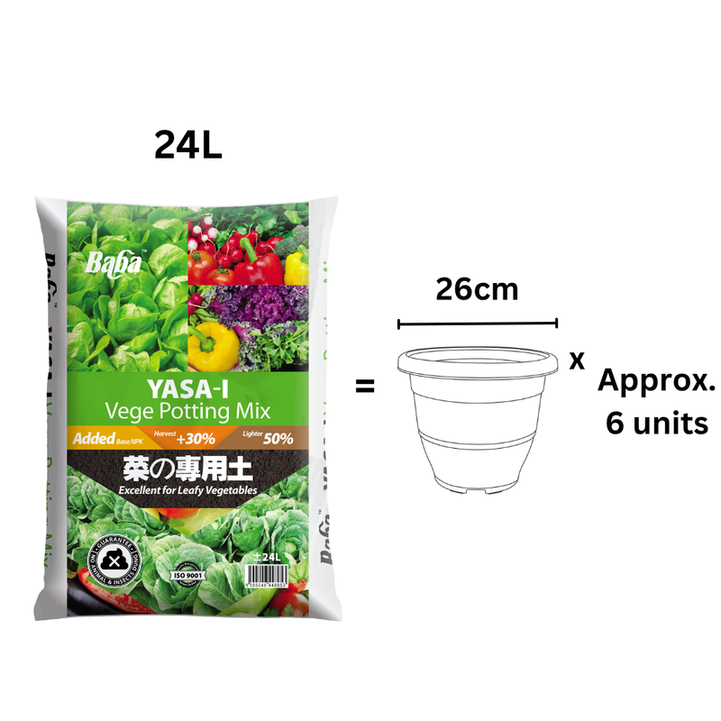 Baba Yasa-i Vege Soil