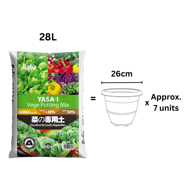 Baba Yasa-i Vege Soil