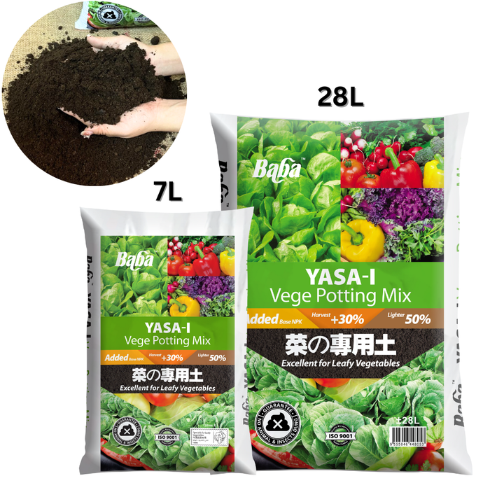 Baba Yasa-i Vege Soil