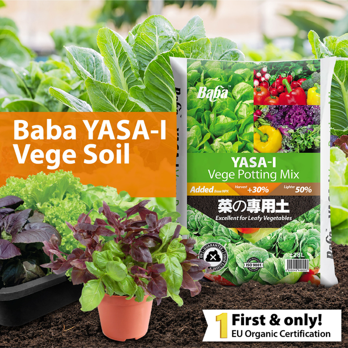 Baba Yasa-i Vege Soil