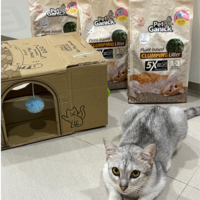 [FREE GIFT] Cat Play House