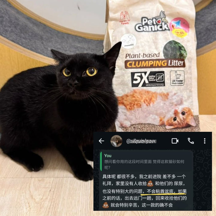 Pet Ganick Premium Plant Based Cat Litter (6LBS)