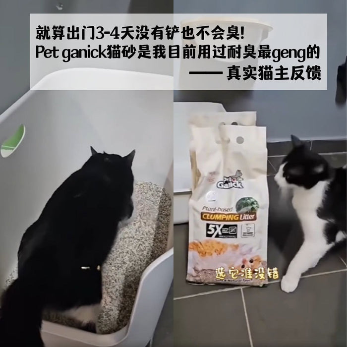 Pet Ganick Premium Plant Based Cat Litter (6LBS)