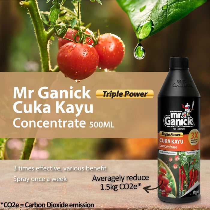 Mr Ganick Cuka Kayu Concentrate (500ML)