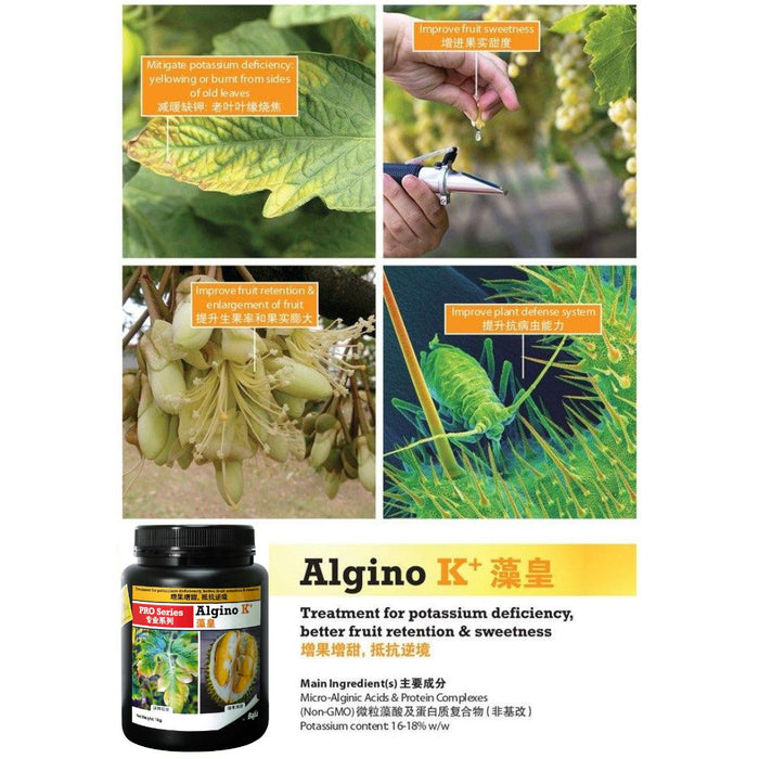 [PRE-ORDER] Farmer Pack - Mr Ganick Pro Series Algino K+ (1KG)