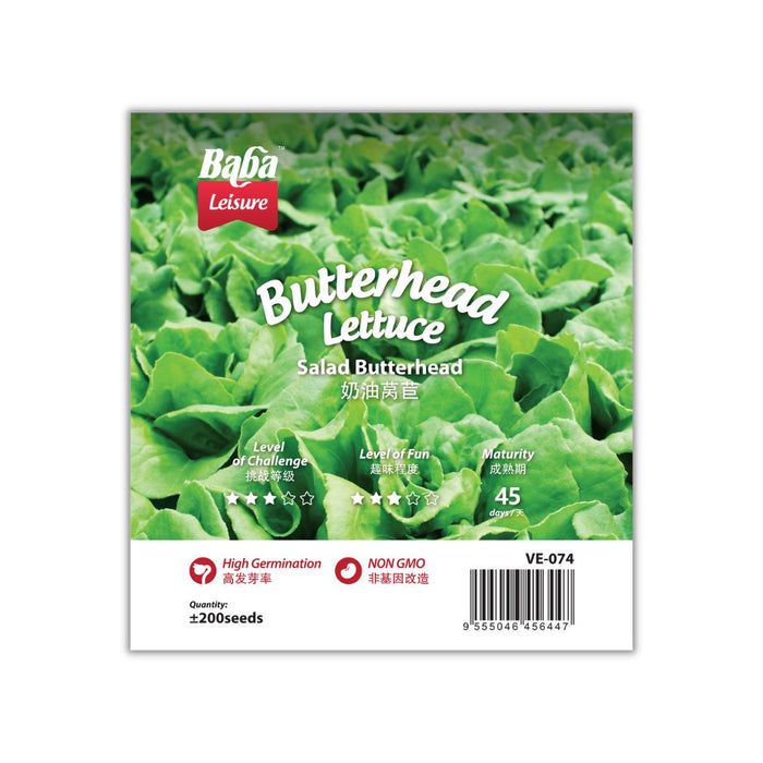 Baba Smart Grow Seed: VE-074 Butterhead Lettuce