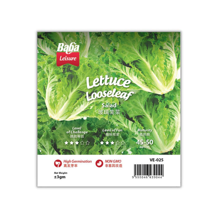 Baba Smart Grow Seed: VE-025 Lettuce Looseleaf