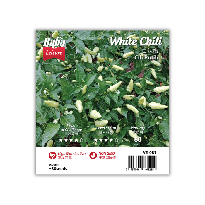 Baba Leisure Seed: VE-081 White Chili