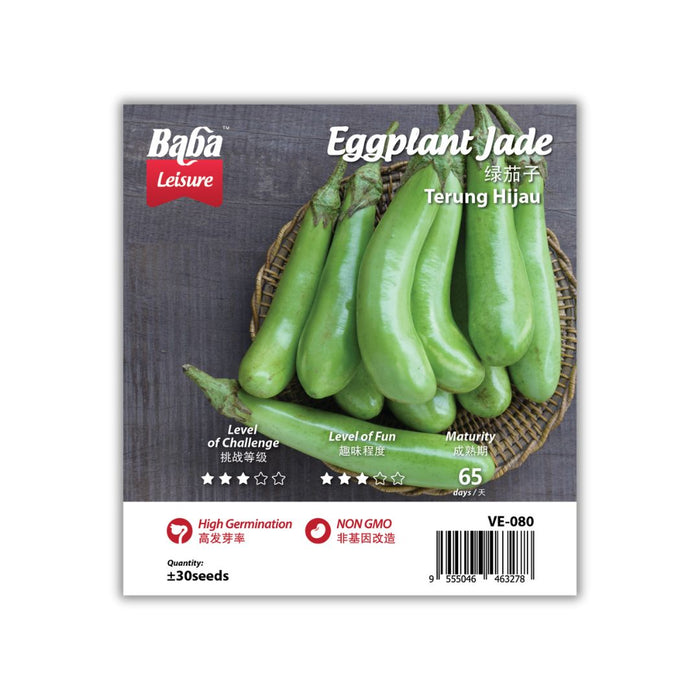 Baba Leisure Seed: VE-080 Eggplant Jade