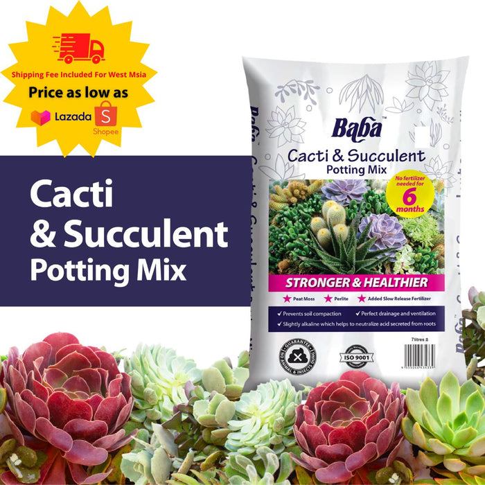 Baba Cacti & Succulent Potting Mix (7L)