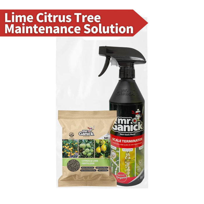 [Special Promo] Citrus Lime Tree Maintenance Solution