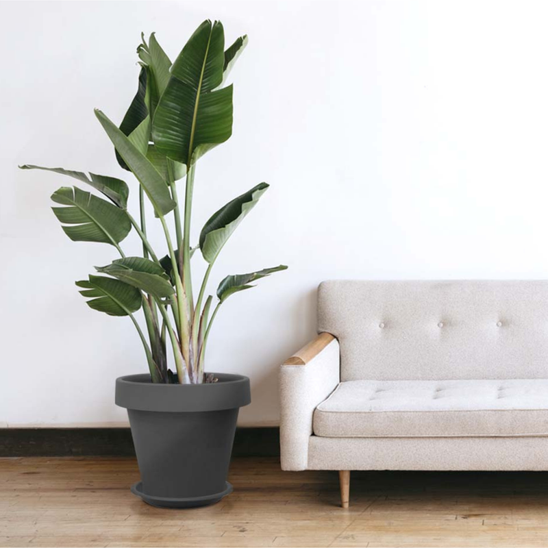Baba MJ Series Flower Pot【MJ-400/ MJ-500/ MJ-600】