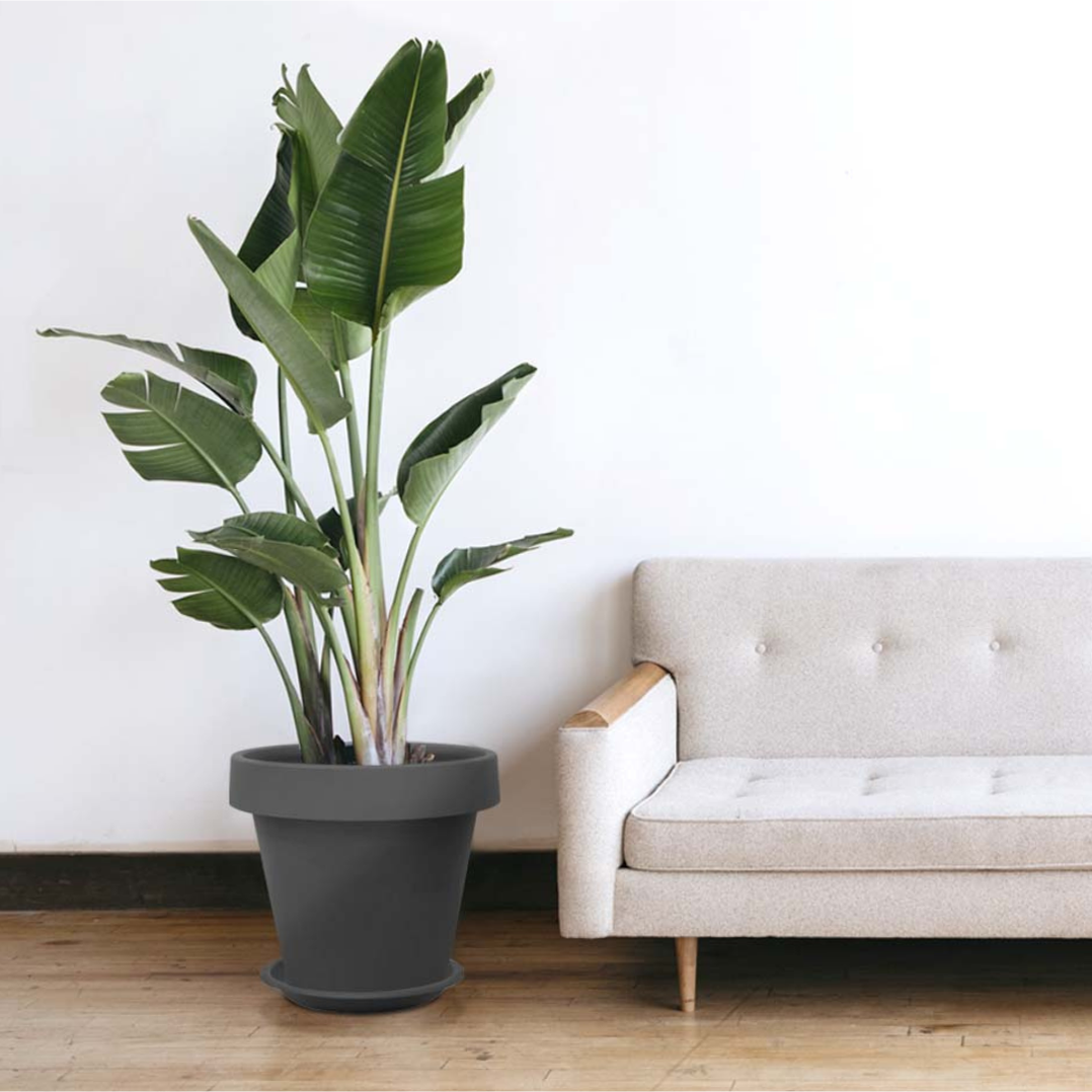 Baba MJ Series Flower Pot【MJ-400/ MJ-500/ MJ-600】 — Baba E Shop