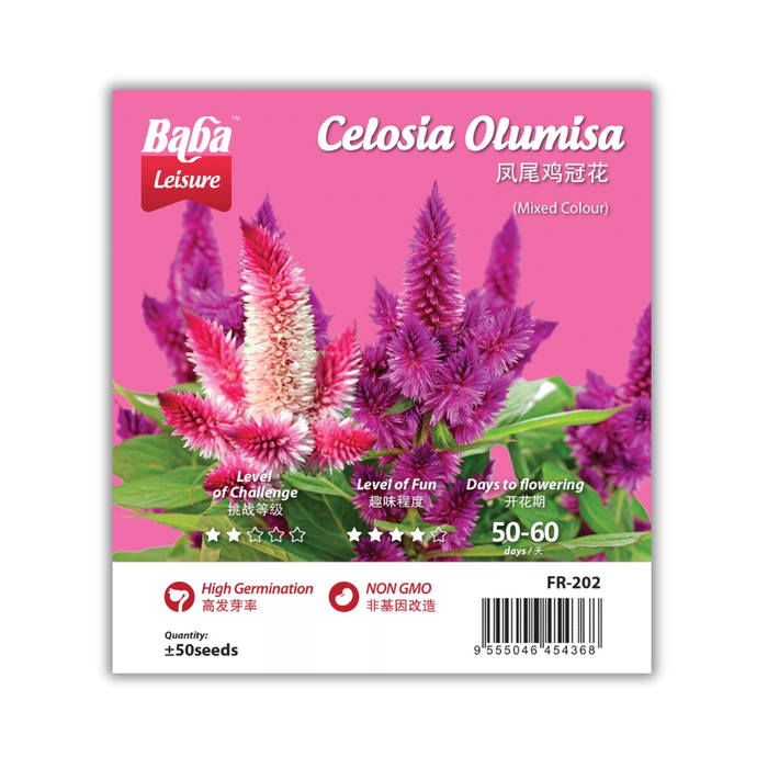 Baba Smart Grow Seed: FR-202 Celosia Olumisa