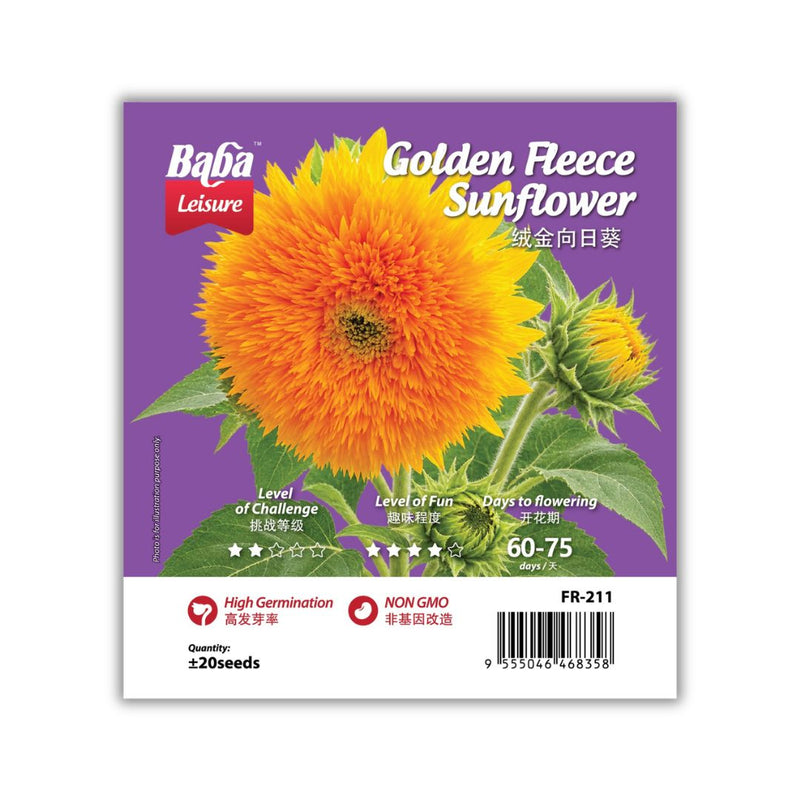 Baba Smart Grow Seed: FR-211 Golden Fleece Sunflower