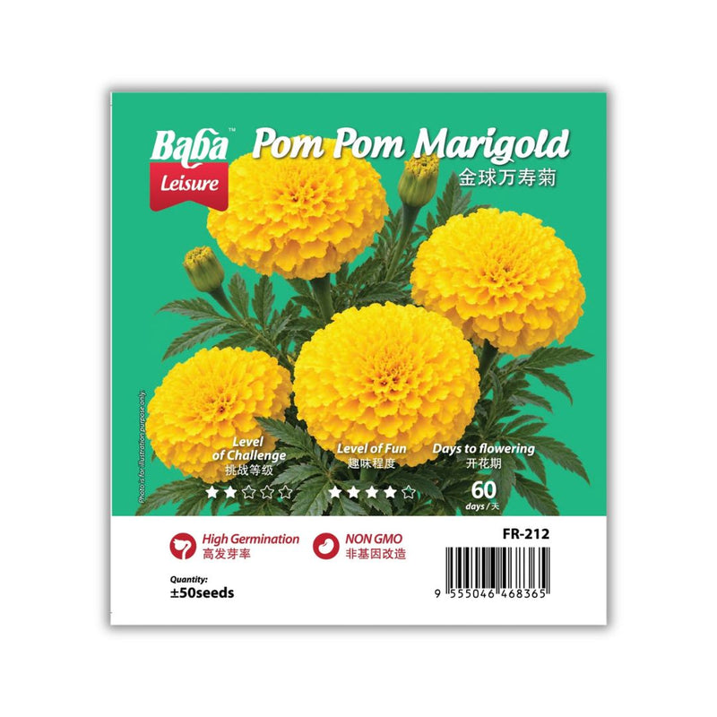 Baba Smart Grow Seed: FR-212 Pom Pom Marigold