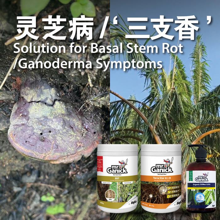 [PRE-ORDER] Farmer Pack- Mr Ganick Ganoderma Disease Solution Set