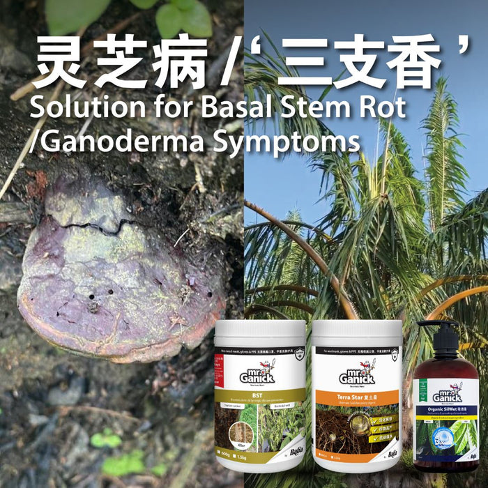 [PRE-ORDER] Farmer Pack- Mr Ganick Ganoderma Disease Solution Set