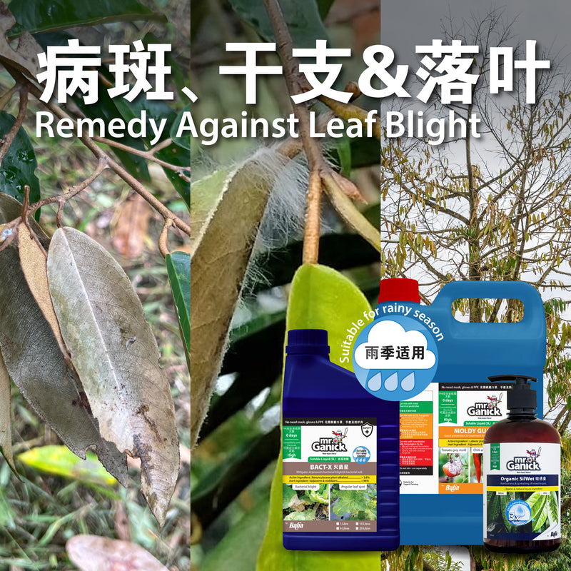 [PRE-ORDER] Farmer Pack- Mr Ganick Leaf Blight Solution Set