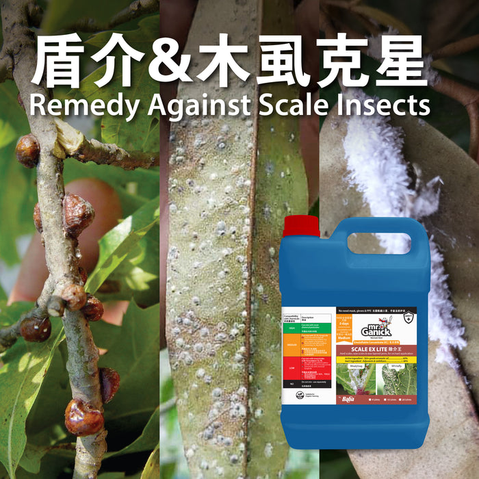 [PRE-ORDER] Farmer Pack- Mr Ganick Scale Ex Lite Concentrated (4L)