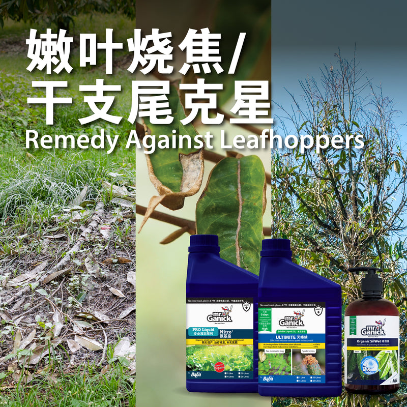 [PRE-ORDER] Farmer Pack- Mr Ganick Leaf Hopper Solution Set