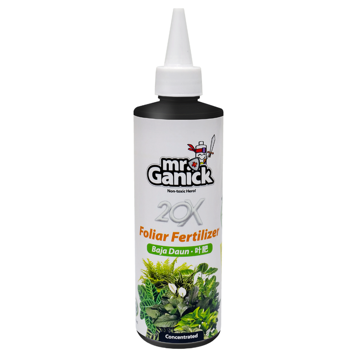 Indoor Plant Care Essentials 室内绿植养护必备