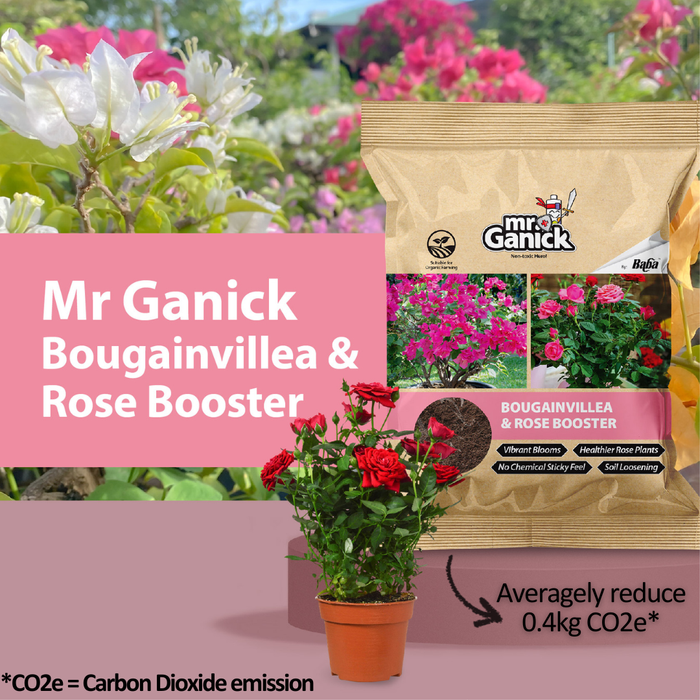Mr Ganick Bougainvillea & Rose Booster (400gm)