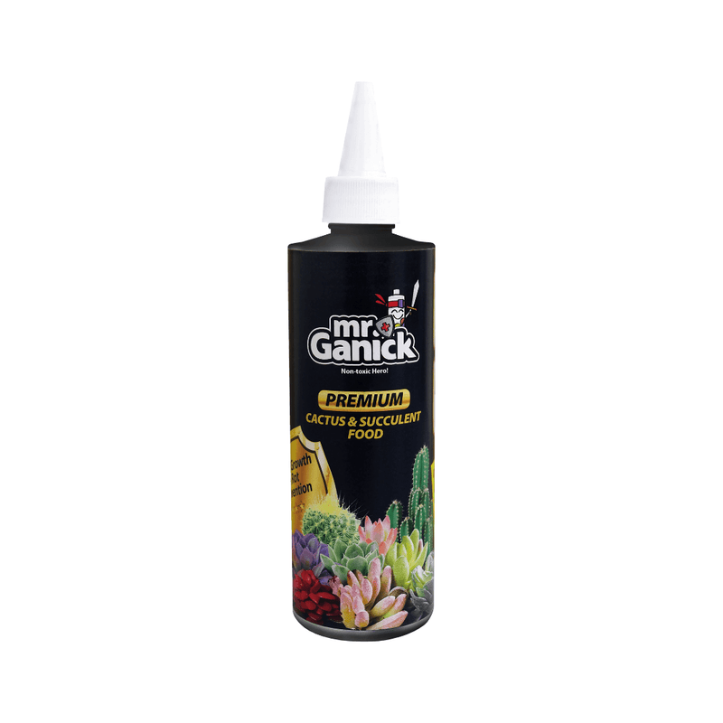 Succulent Health Care 多肉健康养护