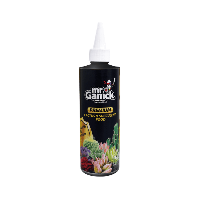 Succulent Health Care 多肉健康养护