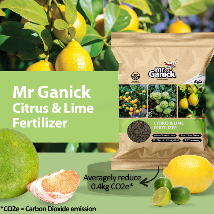 Mr Ganick Citrus & Lime Fertilizer (400gm)