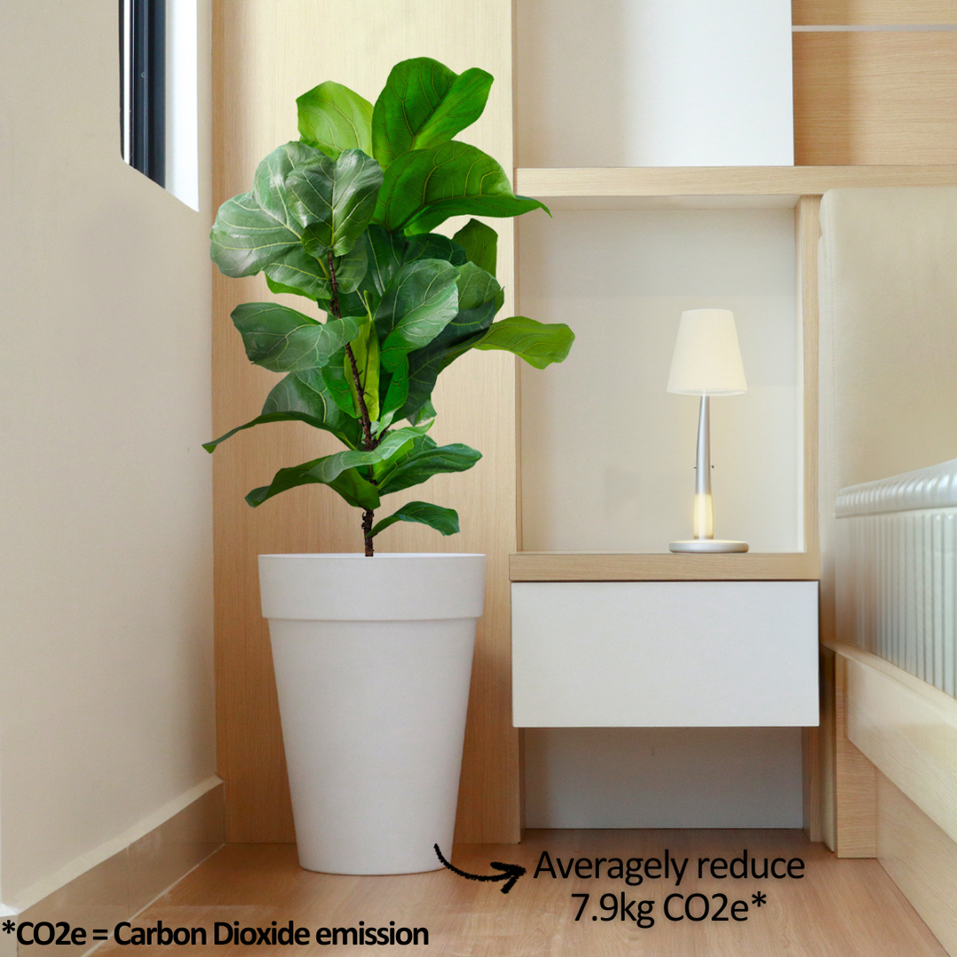 Baba Noble Series Biodegradable Flower Pot【BINB150/ BINB280】 — Baba