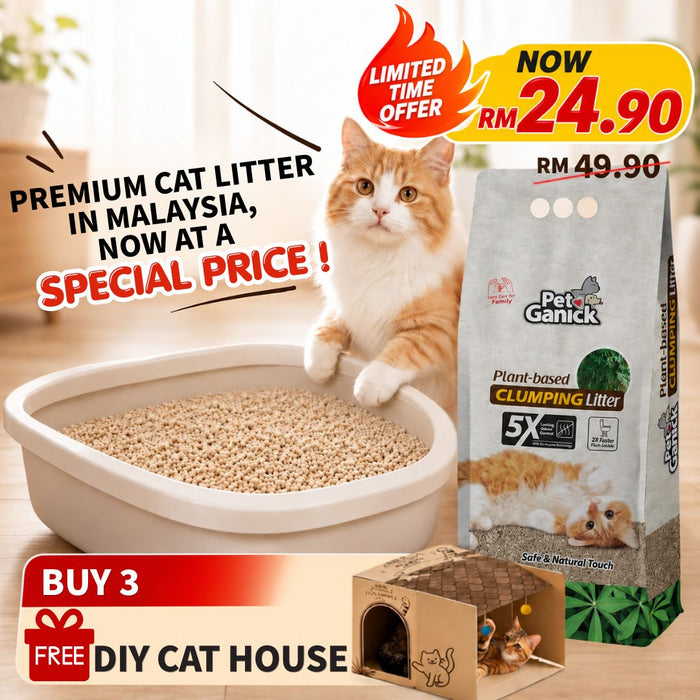 [FREE GIFT] Cat Play House