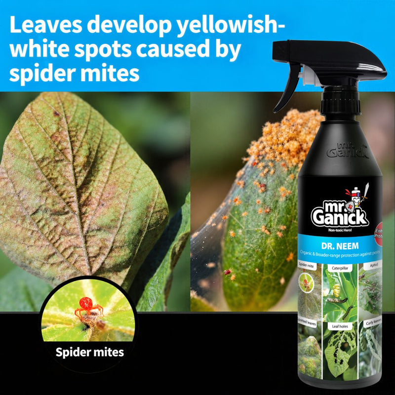Mr Ganick Pest Fighter Trio