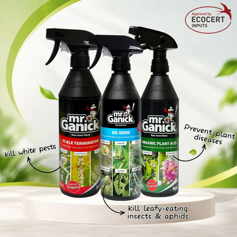 Mr Ganick Pest Fighter Trio