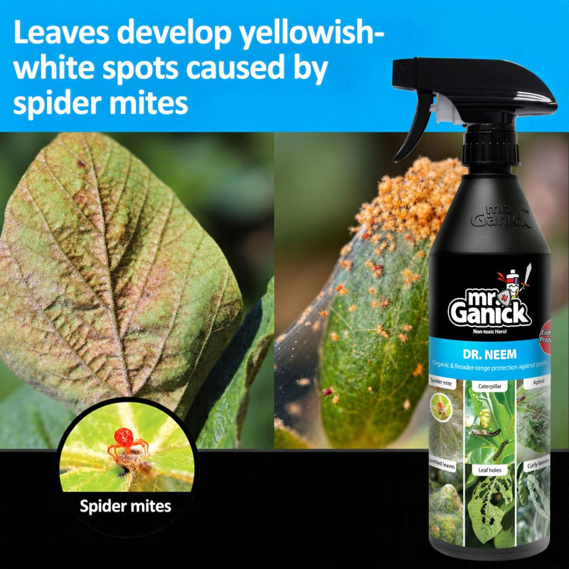 Mr Ganick Pest Fighter Trio