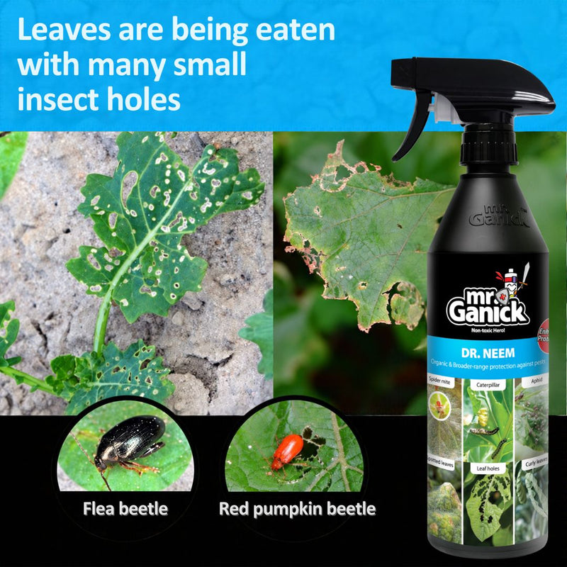 Mr Ganick Pest Fighter Trio