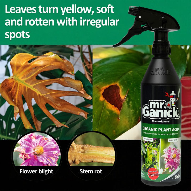 Mr Ganick Pest Fighter Trio