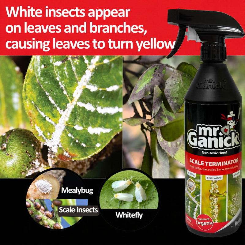 Mr Ganick Pest Fighter Trio