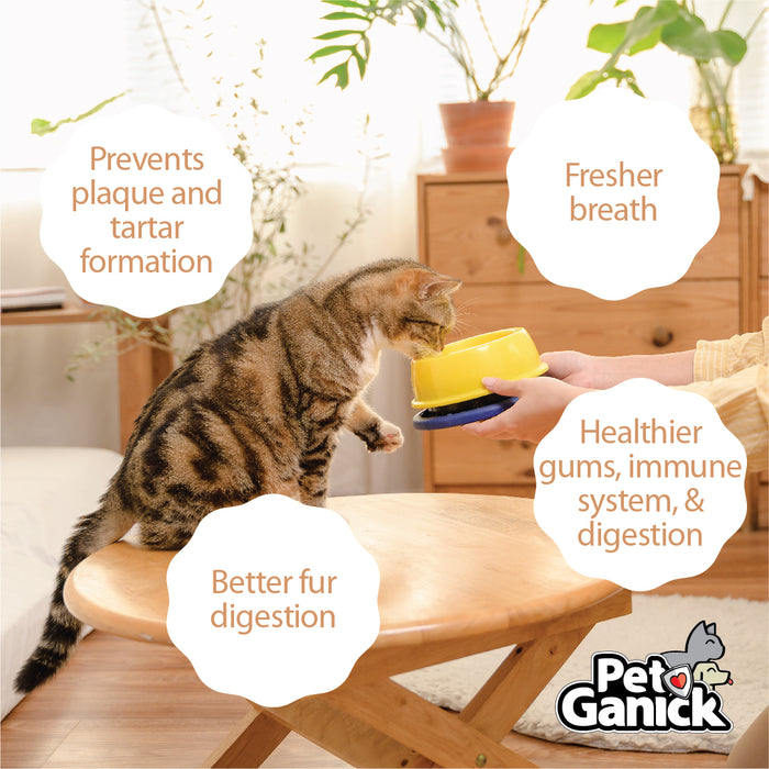 Pet Ganick Refreshing Oral Care Drink (500ml)