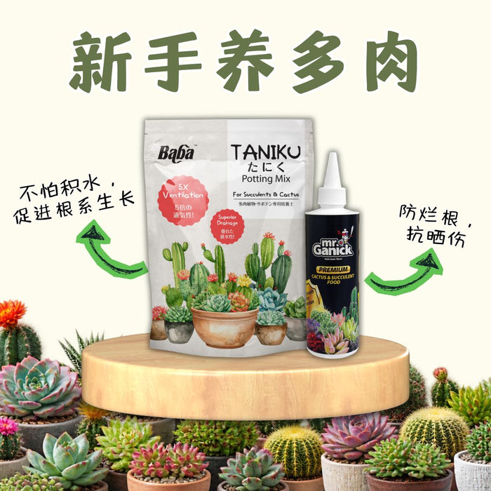 Succulent Health Care 多肉健康养护