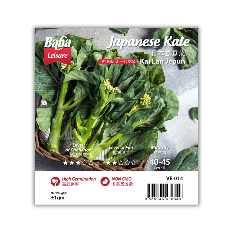 Baba Smart Grow Seed: VE-014 F1 Japanese Kale