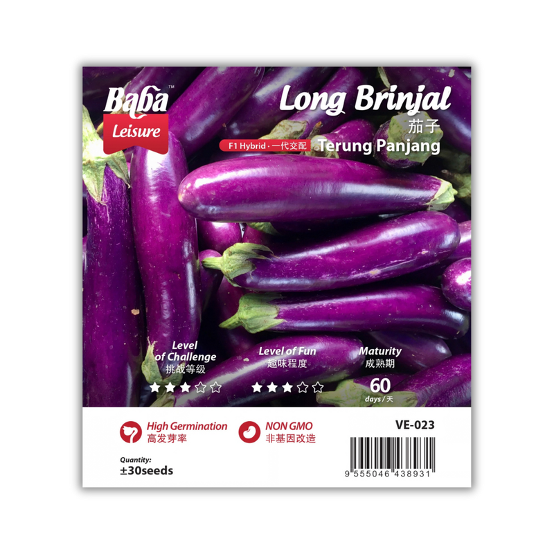 Baba Smart Grow Seed: VE-023 F1 Long Brinjal